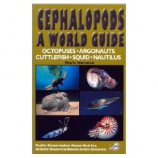Cephalopods - A World Guide